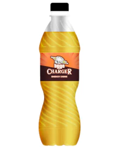 Bogo Charger 12 x 500ml